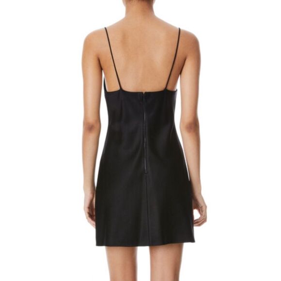 NWT Alice + Olivia HARMONY MINI SLIP DRESS size 2
T19 - Picture 2 of 9